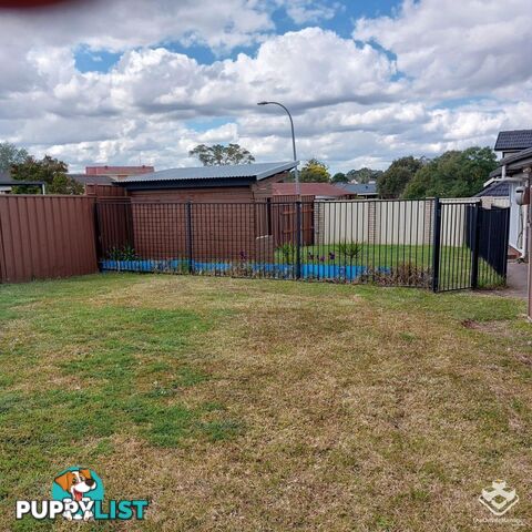 20 Timesweep Drive St Clair NSW 2759