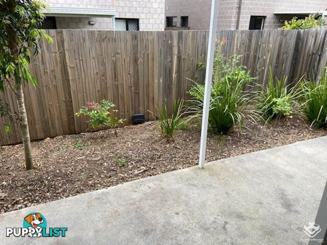 ID:21135295 8 Kokuso Place Doolandella QLD 4077