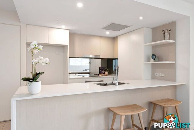 ID:21154586 25 Duncan Street West End QLD 4101