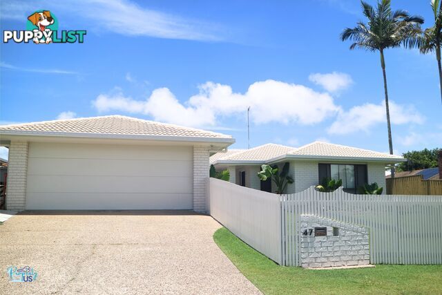 47 Jacaranda Drive Mooloolaba QLD 4557