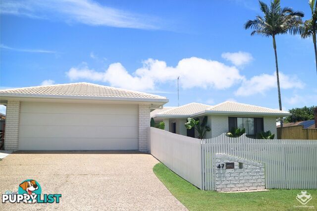 Mooloolaba QLD 4557