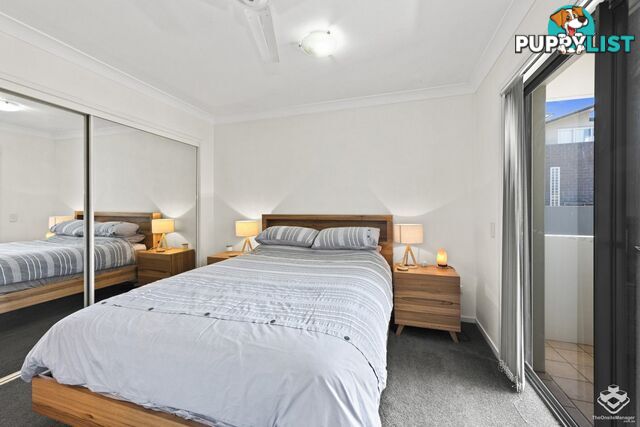 ID:21154658 52 Newstead Terrace Newstead QLD 4006