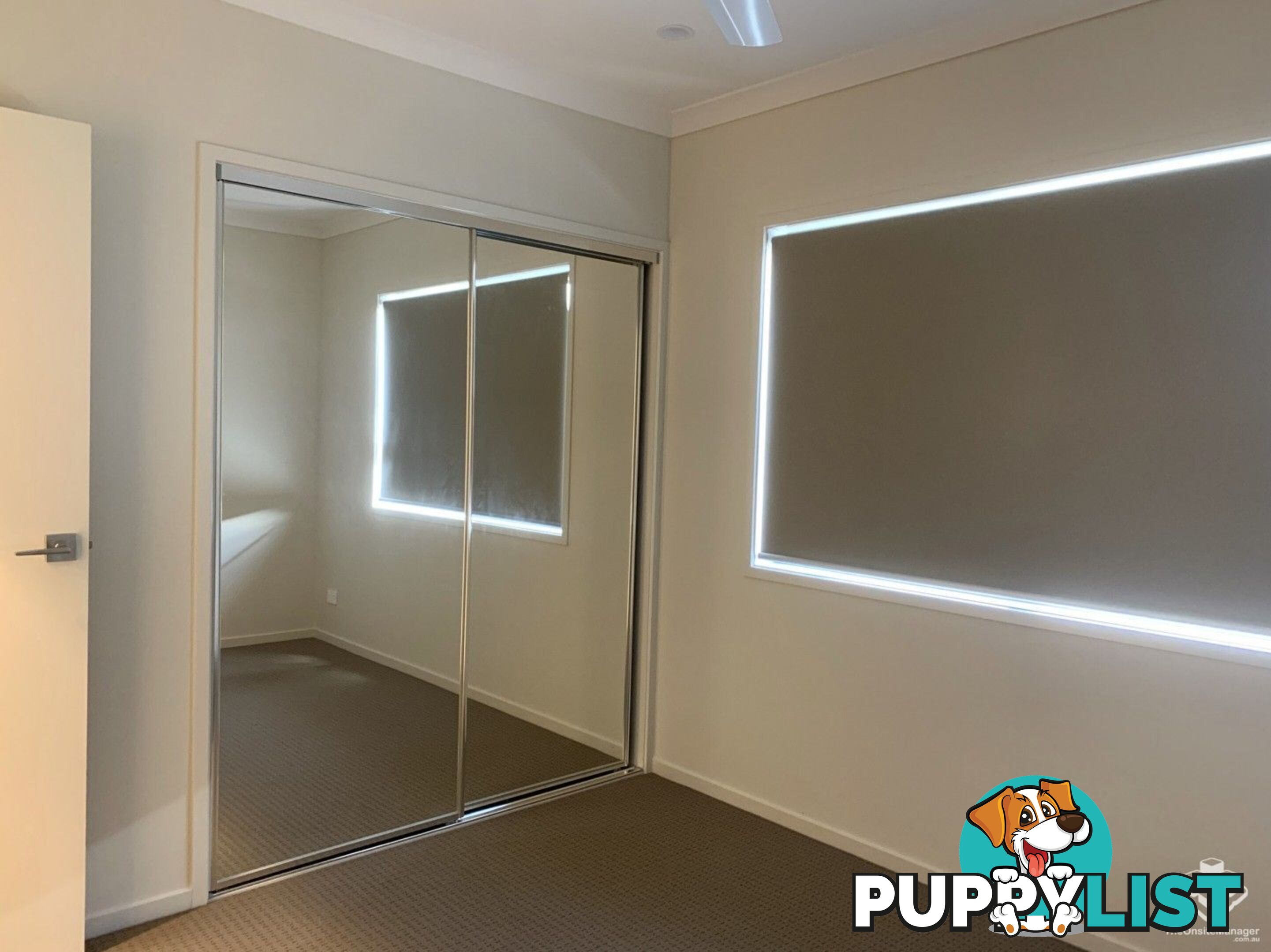 6 Hovea Street Coomera QLD 4209