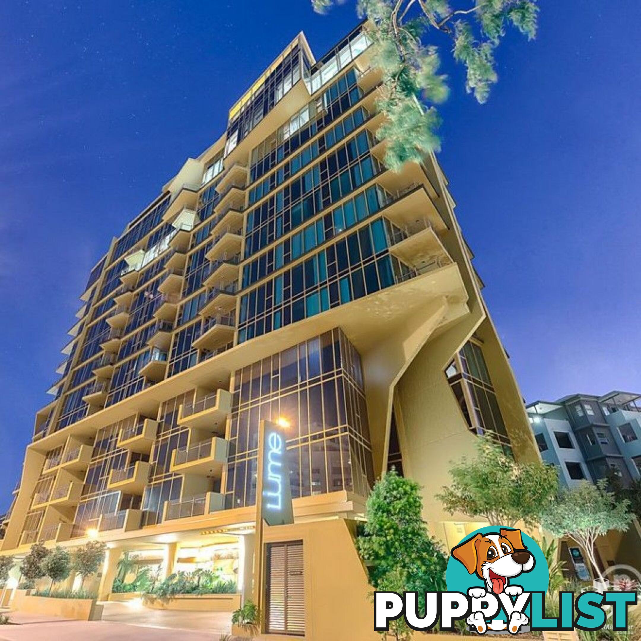 ID:21105438 25 Shafston Avenue Kangaroo Point QLD 4169