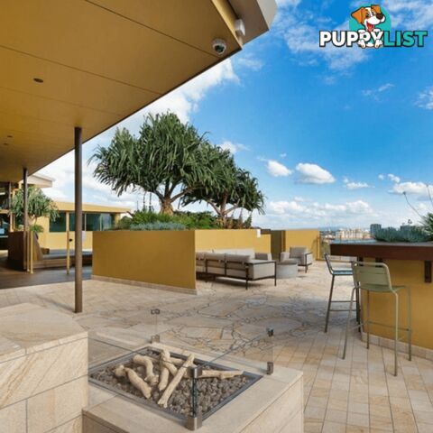 ID:21105438 25 Shafston Avenue Kangaroo Point QLD 4169