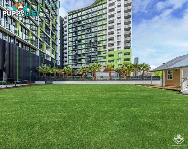 904/10 Trinity Street Fortitude Valley QLD 4006