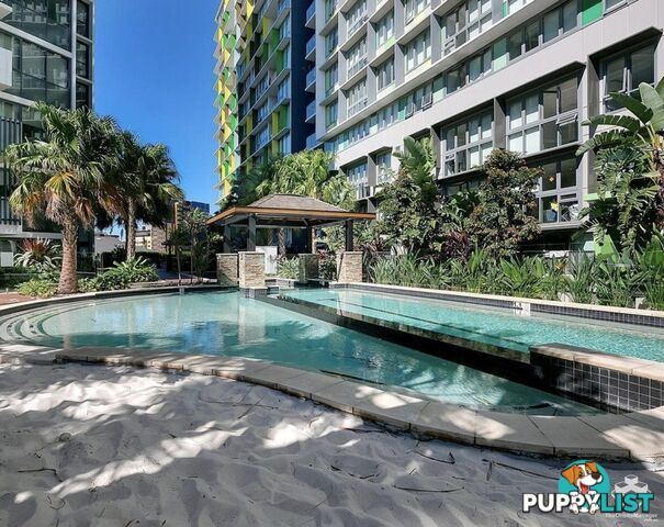 904/10 Trinity Street Fortitude Valley QLD 4006