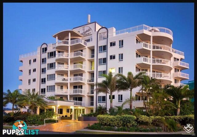 ID:21157921 101 Pacific Boulevard Buddina QLD 4575