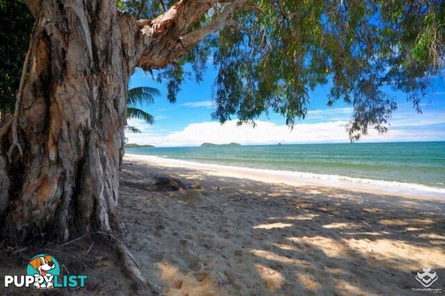 Clifton Beach QLD 4879