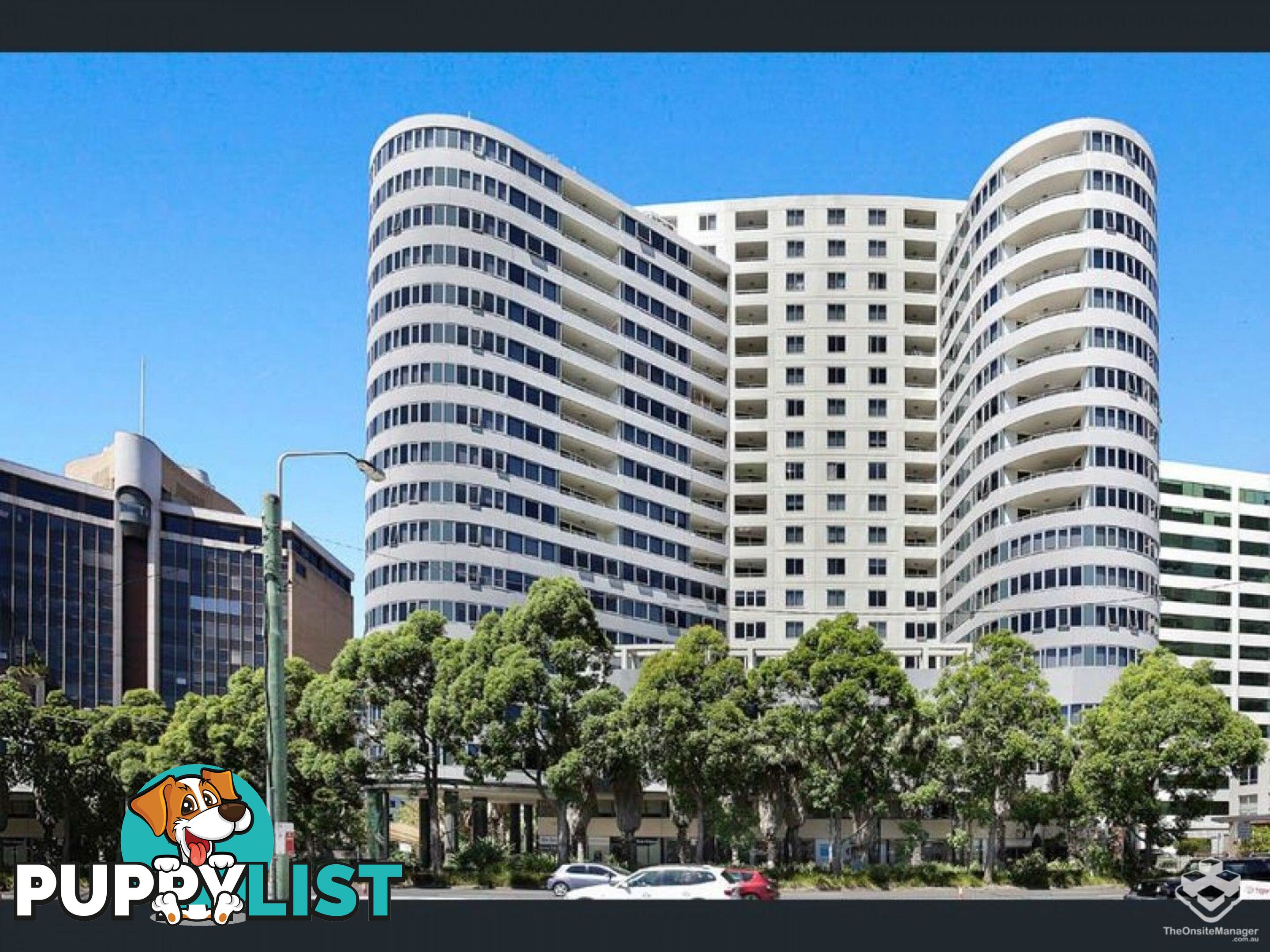 ID:21152312 14 Brown Street Chatswood NSW 2067