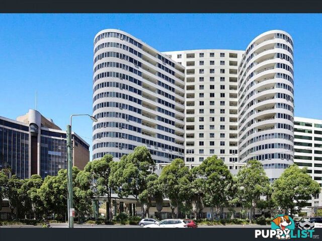 ID:21152312 14 Brown Street Chatswood NSW 2067