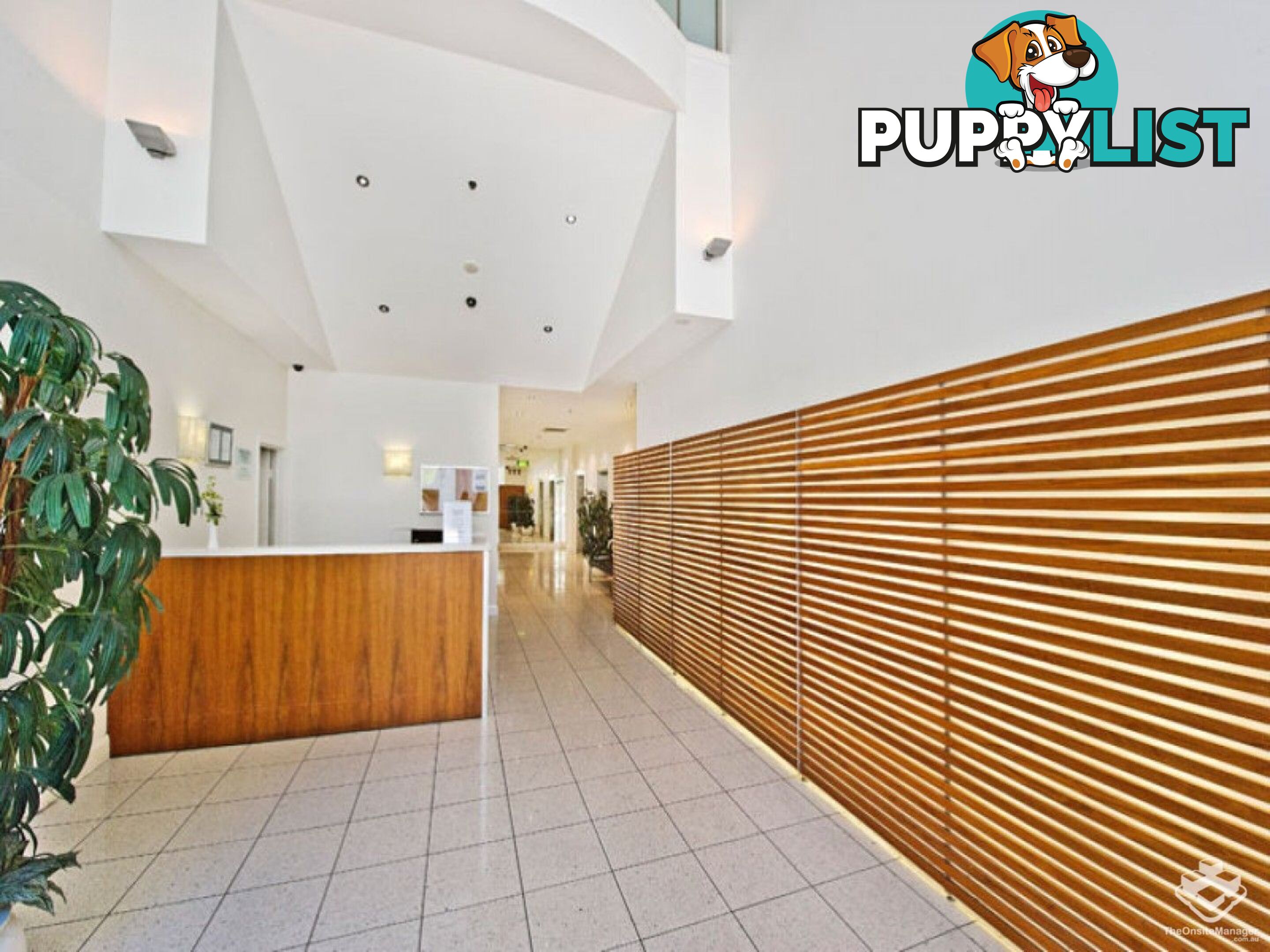 ID:21152312 14 Brown Street Chatswood NSW 2067
