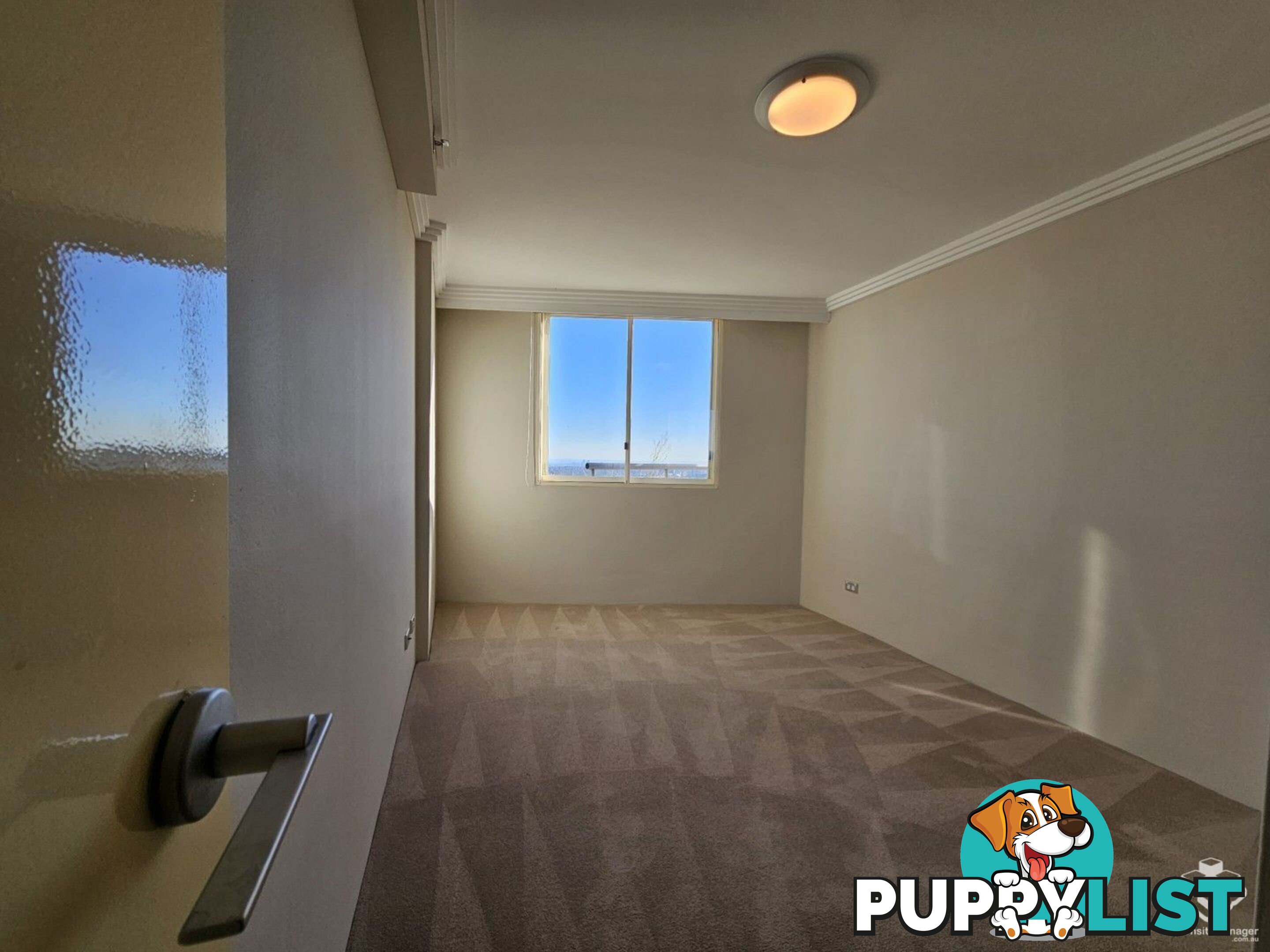 ID:21152312 14 Brown Street Chatswood NSW 2067