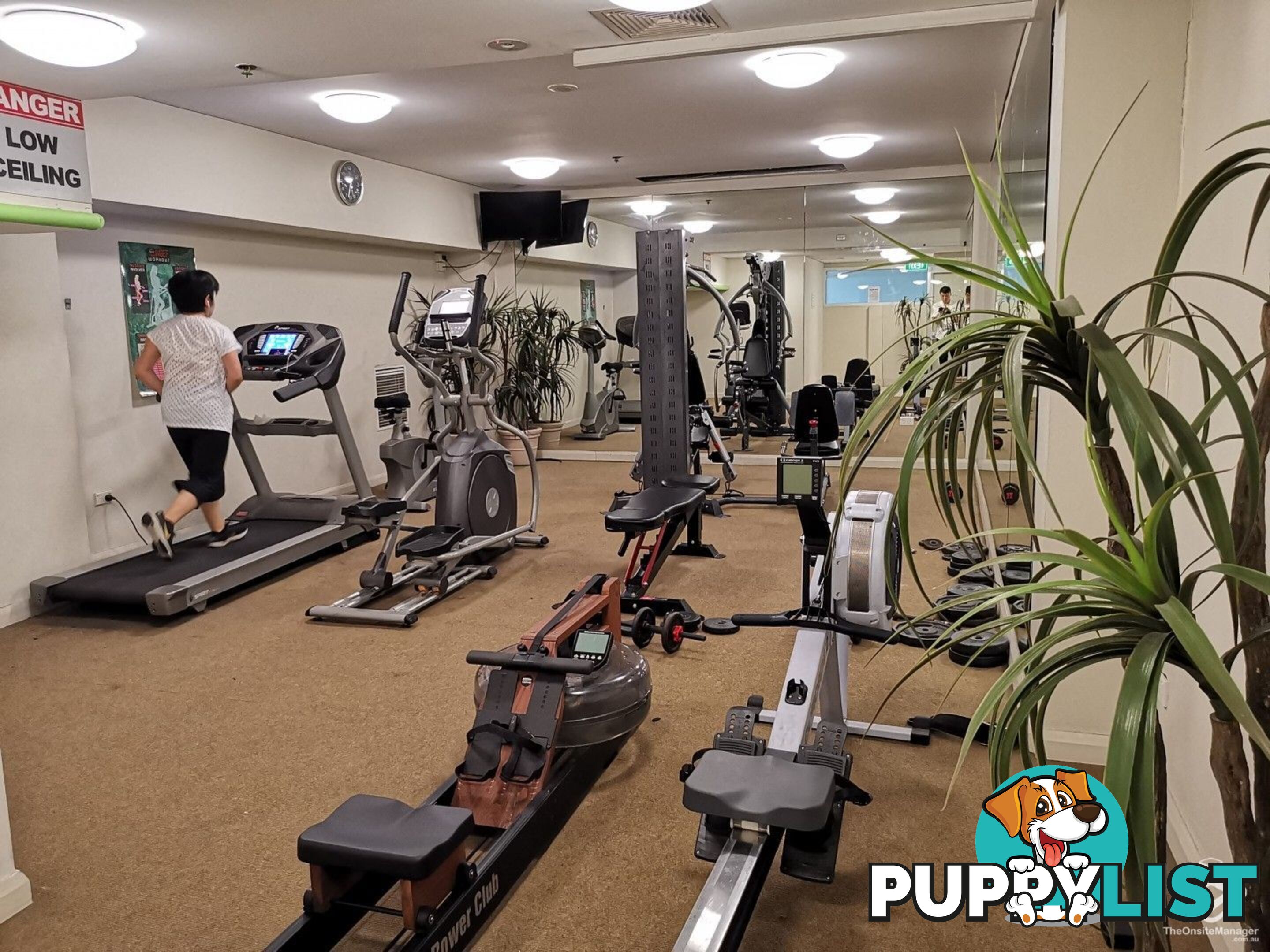 ID:21152312 14 Brown Street Chatswood NSW 2067