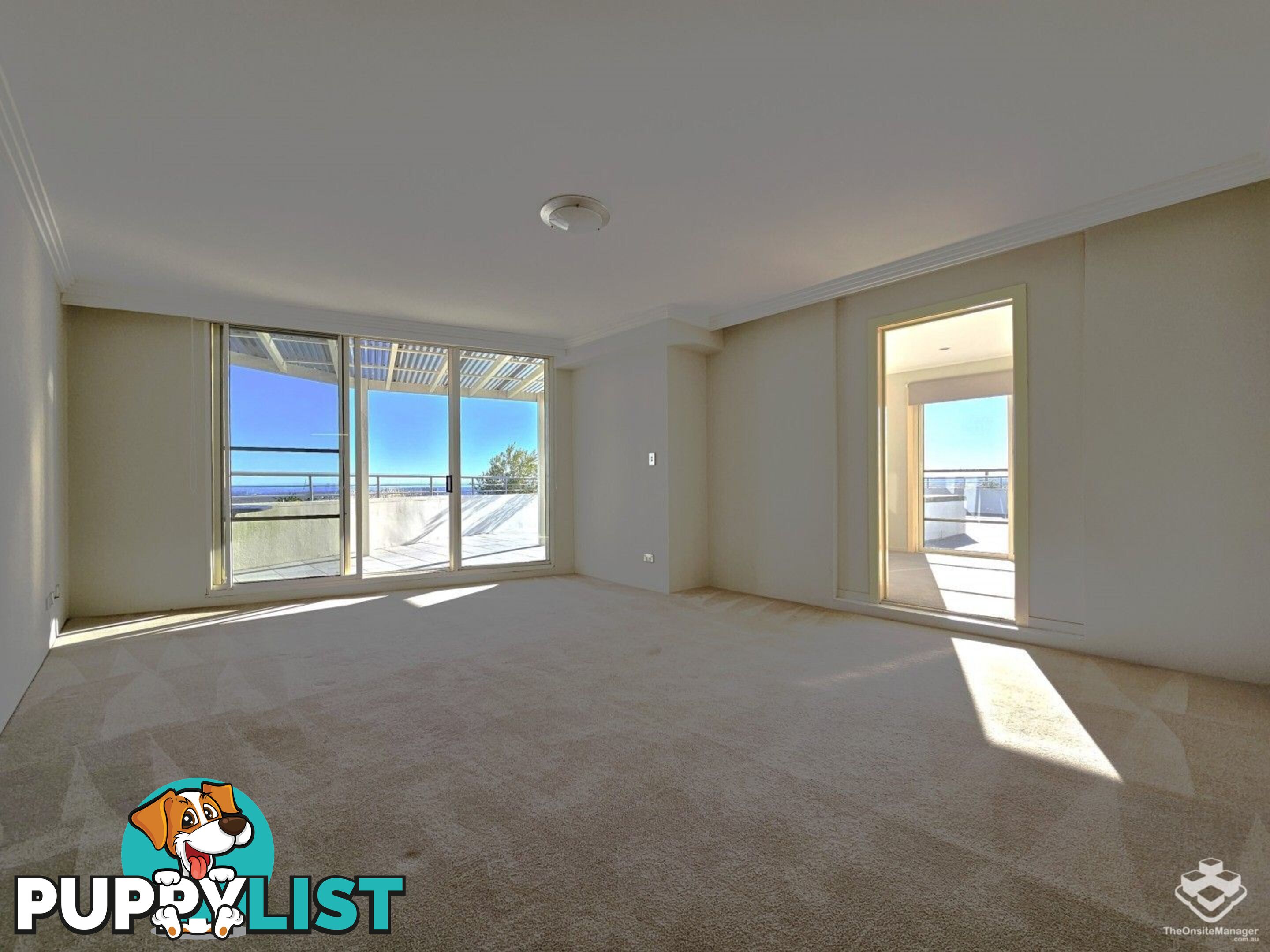 ID:21152312 14 Brown Street Chatswood NSW 2067