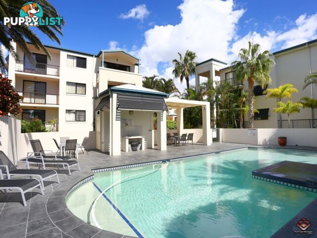 38 Labrador Street Labrador QLD 4215