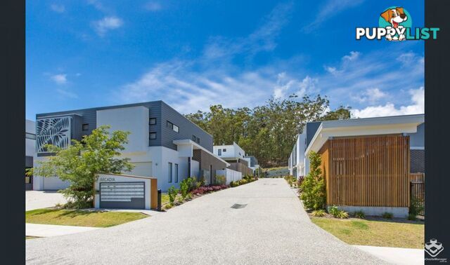 ID:21121341 7 Border Drive North Currumbin Waters QLD 4223