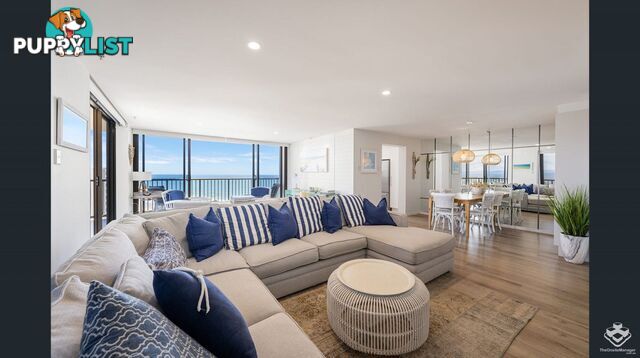 ID:21152971 4-12 Old Burleigh Road Surfers Paradise QLD 4217