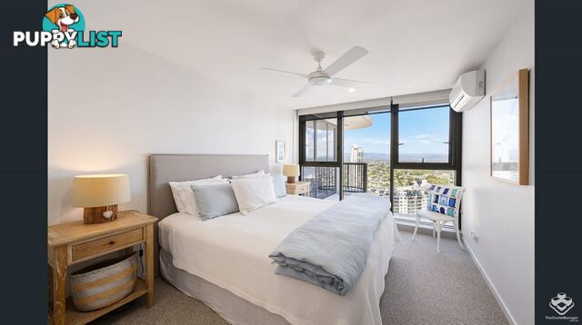 ID:21152971 4-12 Old Burleigh Road Surfers Paradise QLD 4217