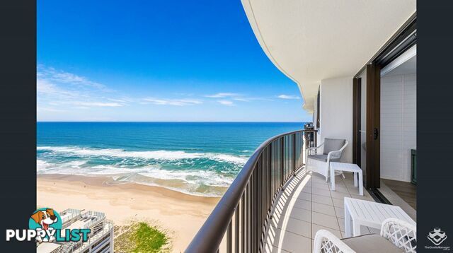ID:21152971 4-12 Old Burleigh Road Surfers Paradise QLD 4217
