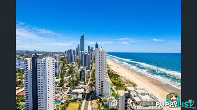 ID:21152971 4-12 Old Burleigh Road Surfers Paradise QLD 4217