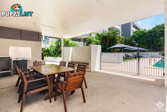 ID:21139510 95 Clarence Road Indooroopilly QLD 4068