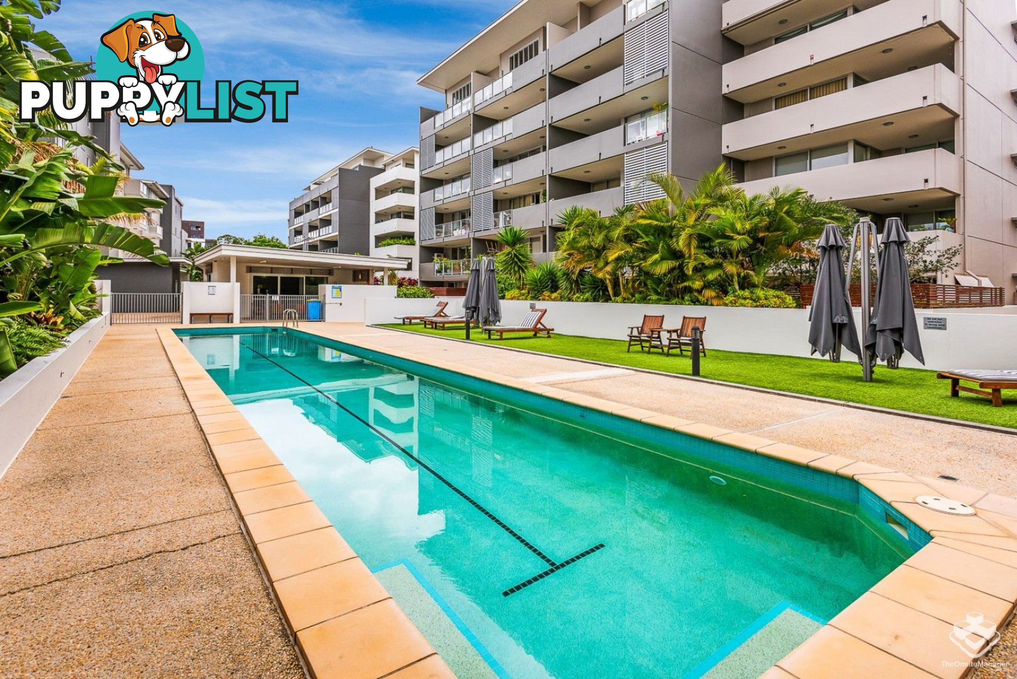 ID:21139510 95 Clarence Road Indooroopilly QLD 4068