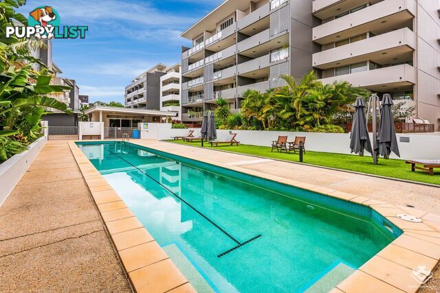 ID:21139510 95 Clarence Road Indooroopilly QLD 4068
