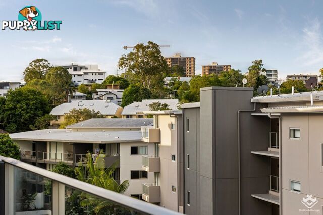 ID:21139510 95 Clarence Road Indooroopilly QLD 4068
