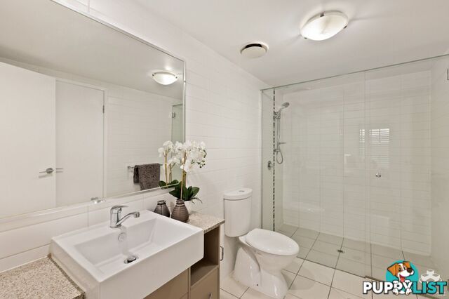 ID:21139510 95 Clarence Road Indooroopilly QLD 4068