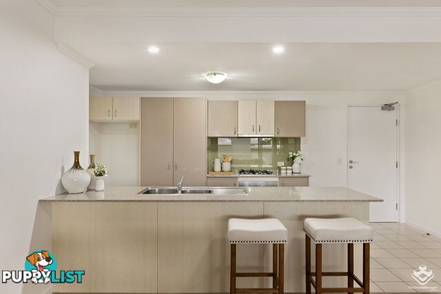 ID:21139510 95 Clarence Road Indooroopilly QLD 4068