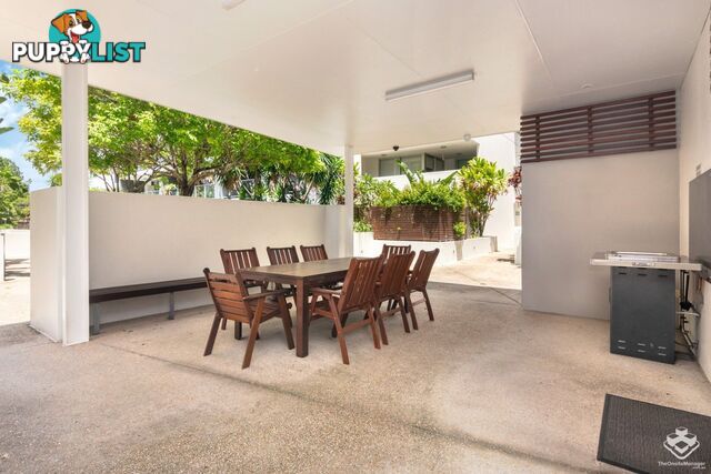ID:21139510 95 Clarence Road Indooroopilly QLD 4068