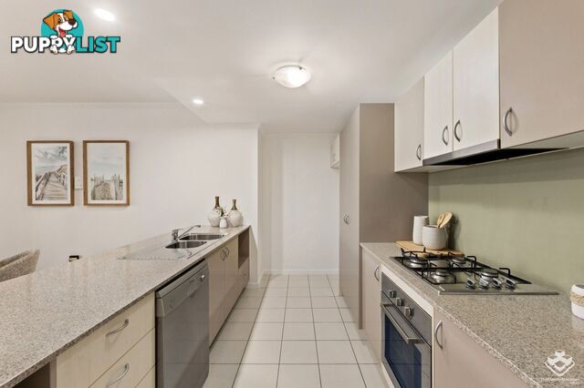 ID:21139510 95 Clarence Road Indooroopilly QLD 4068