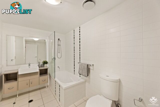 ID:21139510 95 Clarence Road Indooroopilly QLD 4068