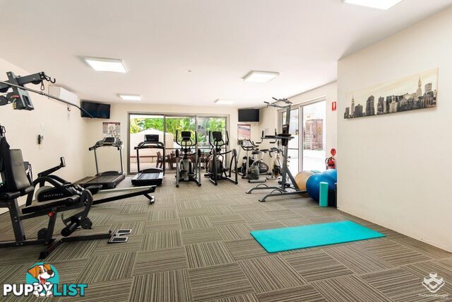 ID:21139510 95 Clarence Road Indooroopilly QLD 4068