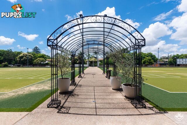 ID:21139510 95 Clarence Road Indooroopilly QLD 4068