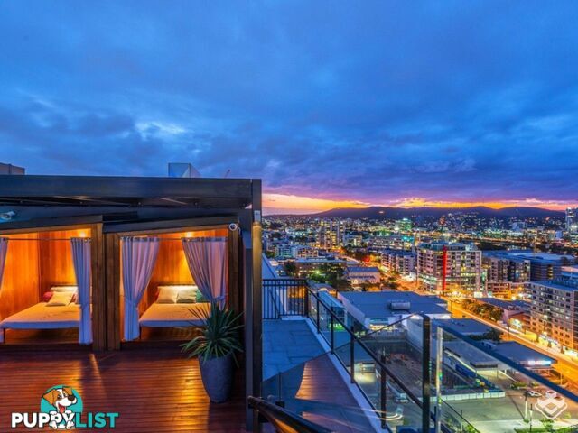 ID:21157221 79 Grey Street South Brisbane QLD 4101