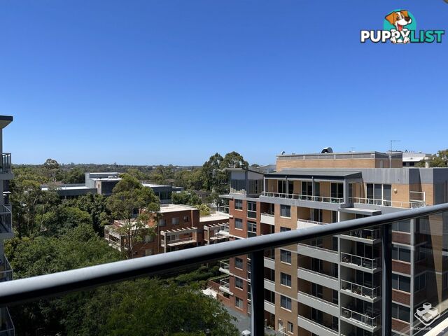 165 / 8-12 Thomas Street Waitara NSW 2077