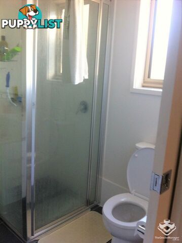 52A Lyttleton Crescent Cook ACT 2614