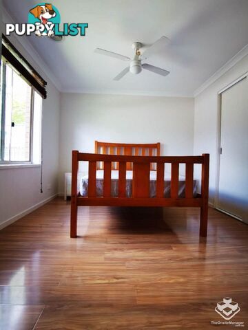 52A Lyttleton Crescent Cook ACT 2614