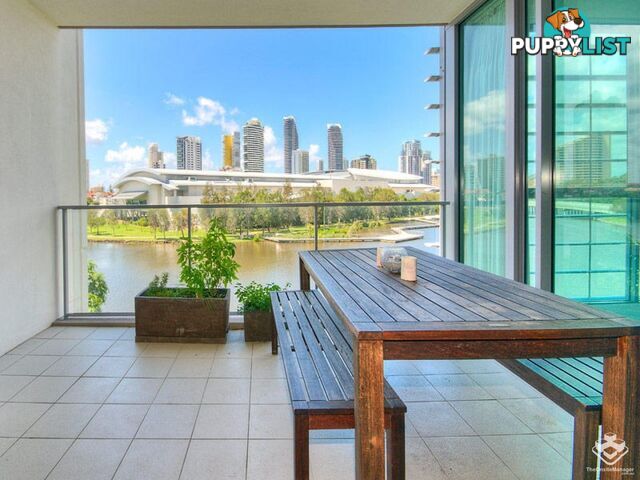 ID:21146888 33 T E Peters Drive Broadbeach QLD 4218