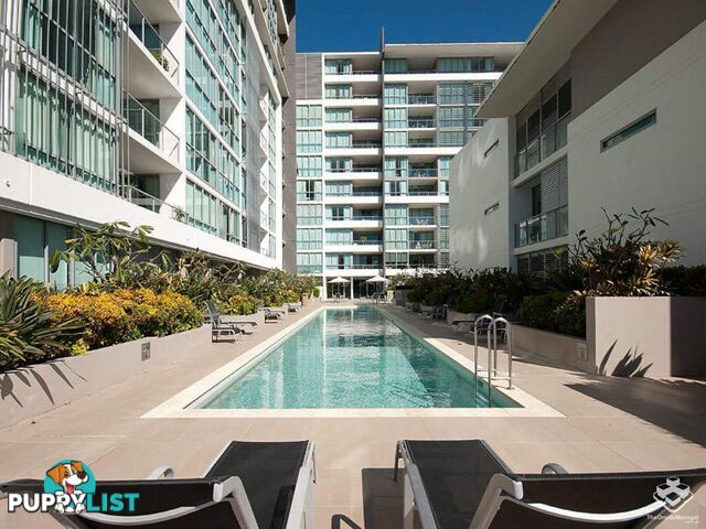 ID:21146888 33 T E Peters Drive Broadbeach QLD 4218