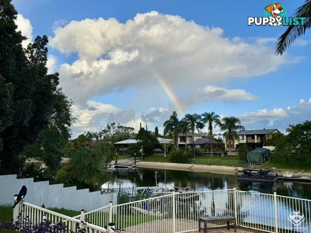 19 Rudd Street Broadbeach Waters QLD 4218