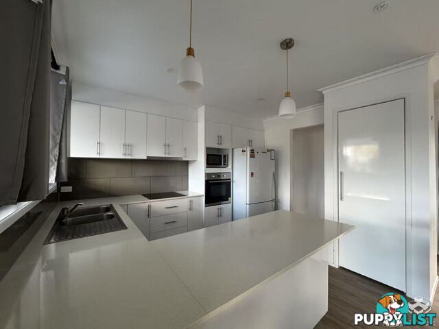 19 Rudd Street Broadbeach Waters QLD 4218