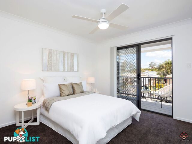 ID:3898019/28 Sean Street Boondall QLD 4034