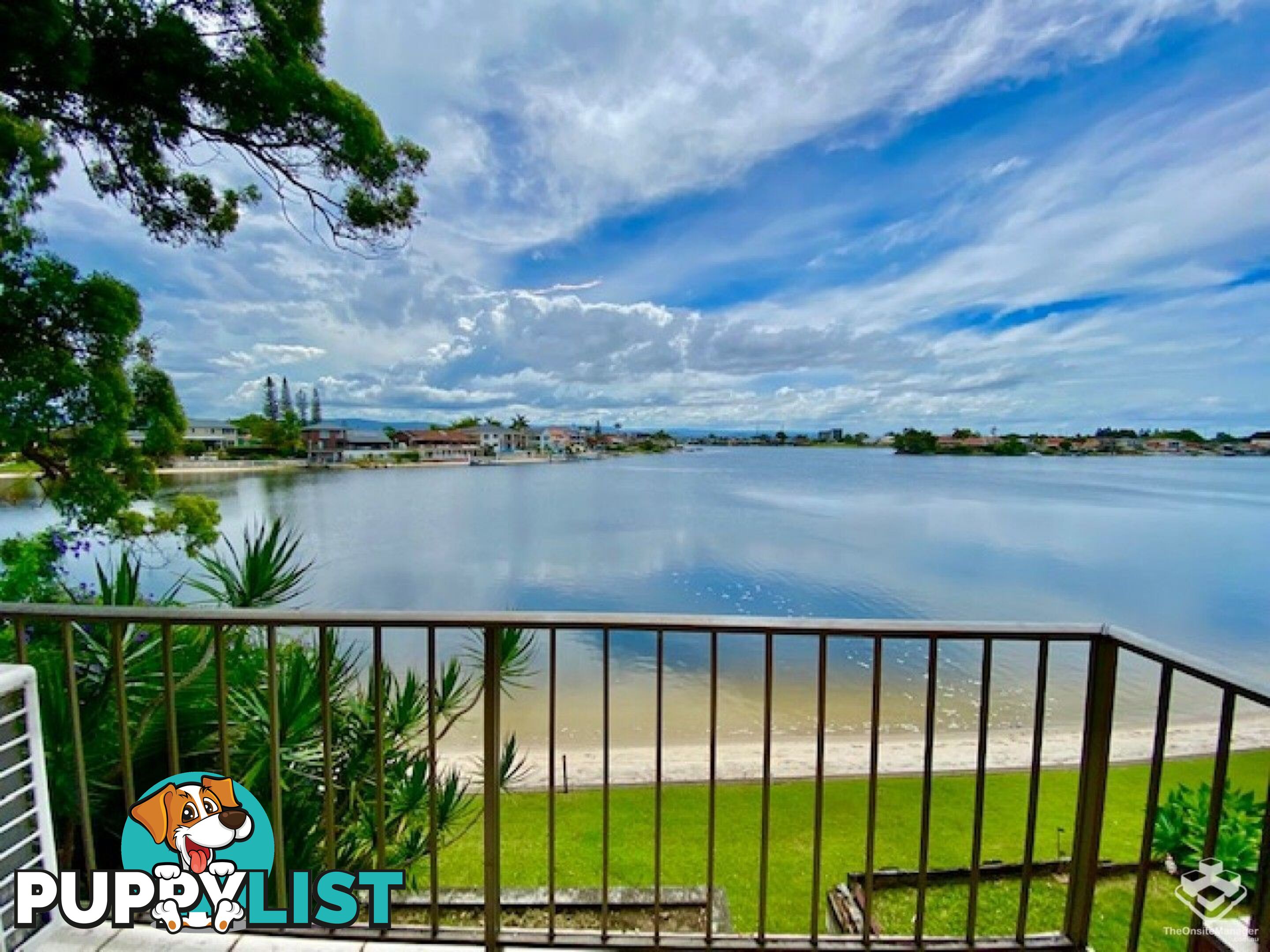 ID:21156757 5 Jodie Court Mermaid Waters QLD 4218