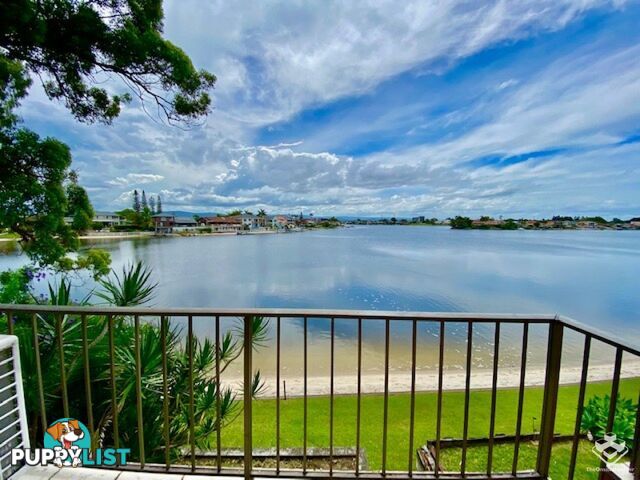 ID:21156757 5 Jodie Court Mermaid Waters QLD 4218