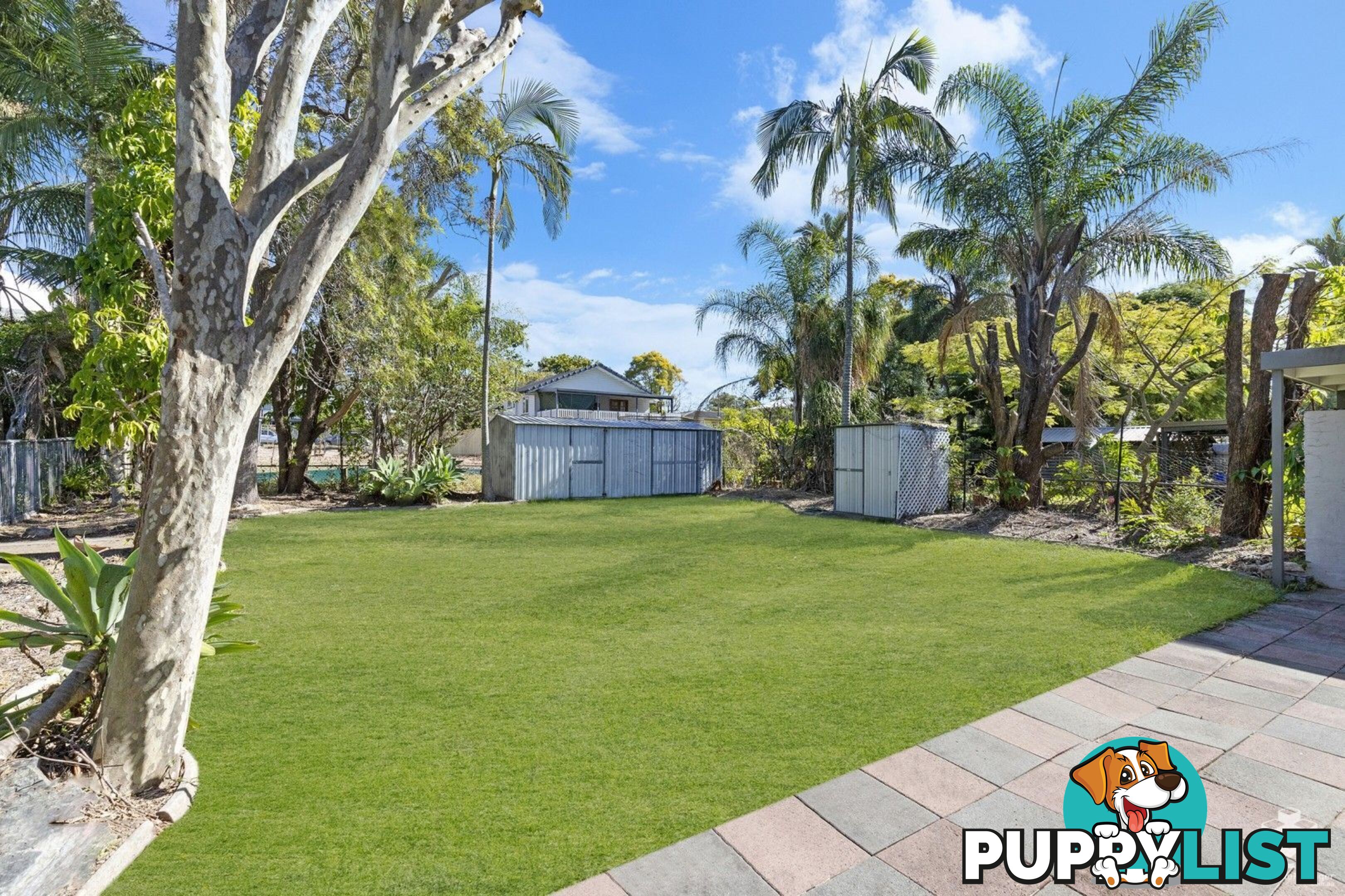 20 Bent Street Cannon Hill QLD 4170