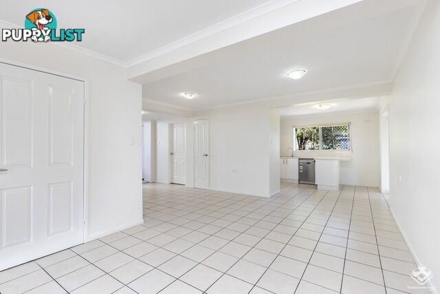 20 Bent Street Cannon Hill QLD 4170