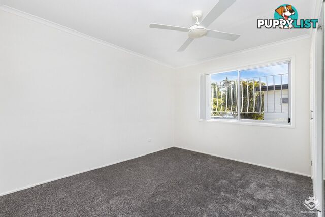 20 Bent Street Cannon Hill QLD 4170